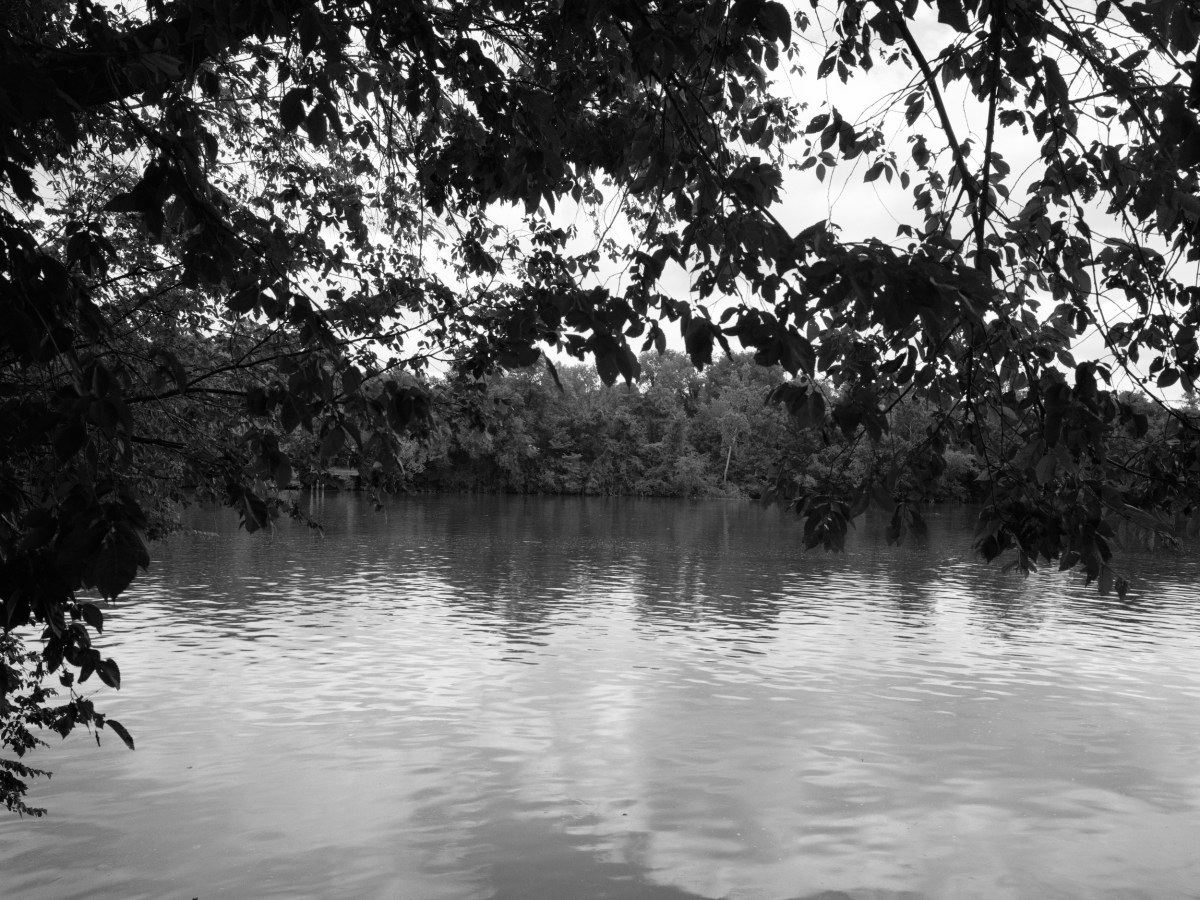 Dawoud Bey Asks, Can Landscapes Hold Traumas?